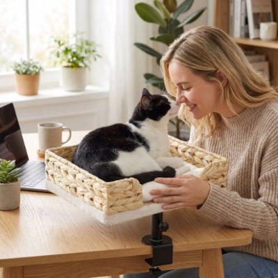 Lit pour chat surélevé proximité PAWZRoad