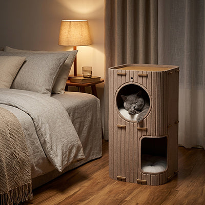 Maisons pour chats Beige et chat qui dort Zhejiang