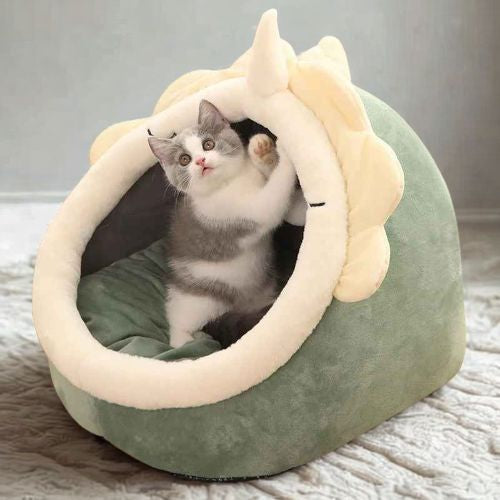 Niche chat Guangdong