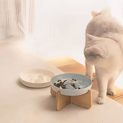 GAMELLE ANTI GLOUTON CHAT