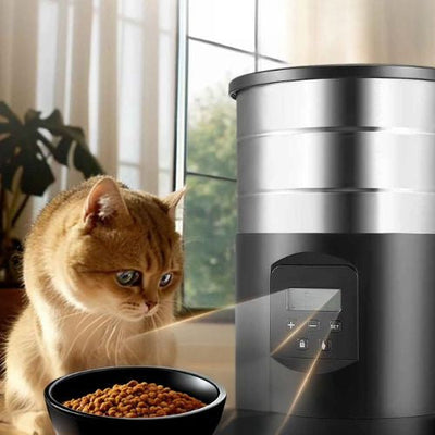 Collection Distributeur de Croquettes pour Chat