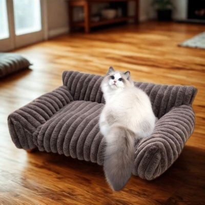 Canapé pour chat décoratif PetDesignRaye