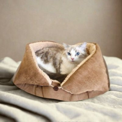Chat panier PetTransformable