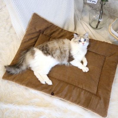 Chat panier Tapis PetTransformable