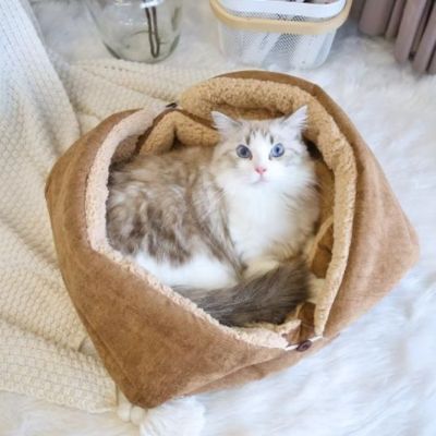 Chat panier et chat blanc PetTransformable