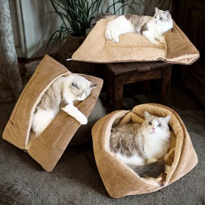 Chat panier trois en un PetTransformable