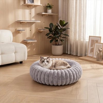 Coussin à chat au salon PetCirculaire