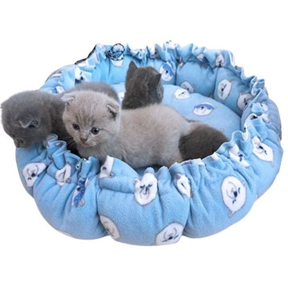 Coussin chaton Bleu à motifs PetReconfort