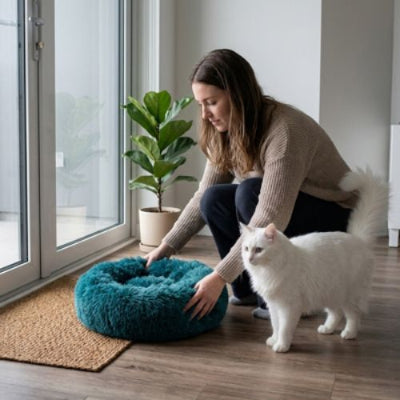 Coussin pour chat Lit PetVeloute