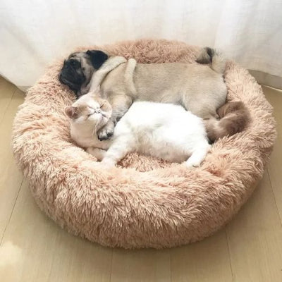 Coussin pour chat Spacieux PetEnglobant