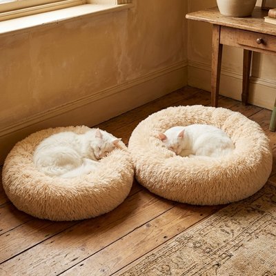 Coussin pour chat couleur neutre PetEnglobant
