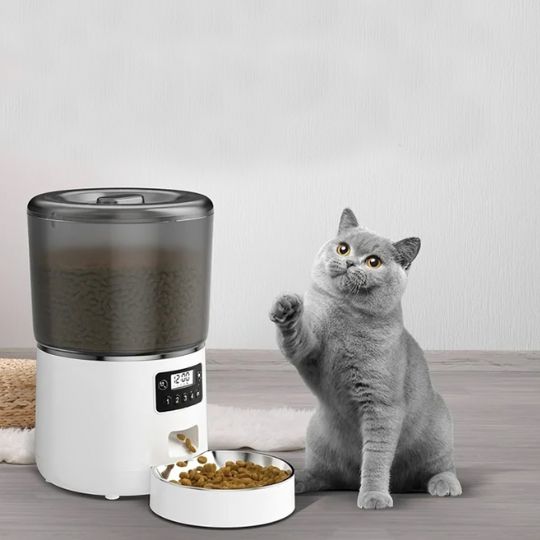 Distributeur croquettes chat avec chat gris MicroData
