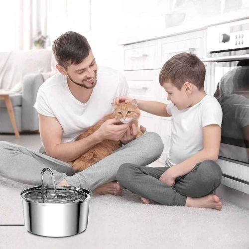 Distributeur eau chat avec pere et fils ZyfeederInox