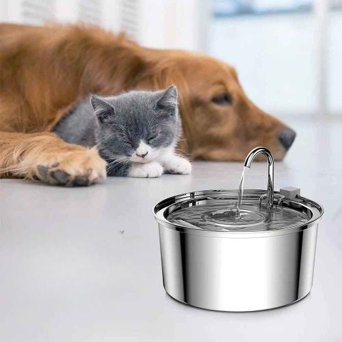 Distributeur eau chat silencieuse ZyfeederInox