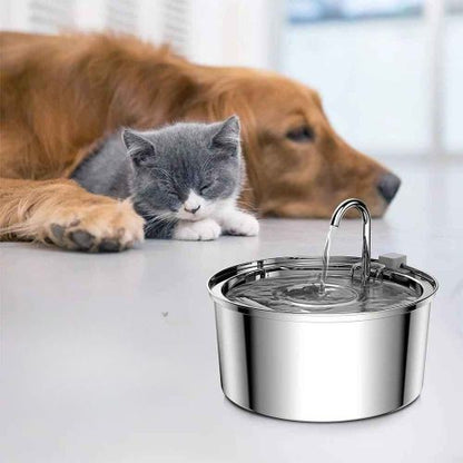Distributeur eau chat silencieuse ZyfeederInox