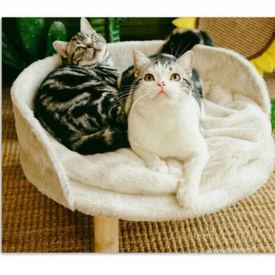 Fauteuil pour chat design Grand PetÉlégant