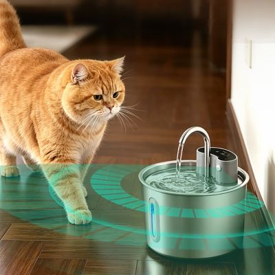 Fontaine a eau inox chat Capteur intégré