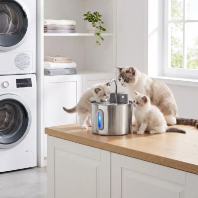Fontaine a eau inox chat amovible
