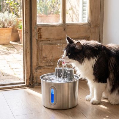 Fontaine a eau inox chat compacte