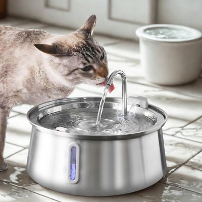 Fontaine inox chat Cuisine Filtration continue