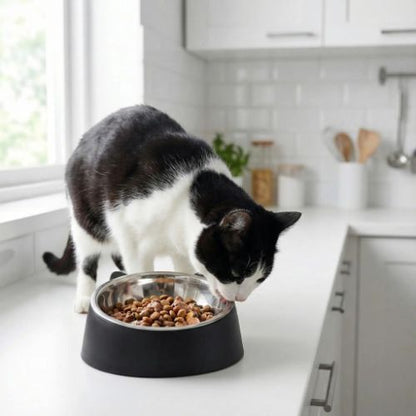 Gamelle pour chat design sur comptoir cuisine incline
