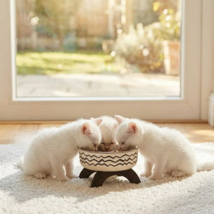 Gamelle pour chat et trois chatons blancs simple