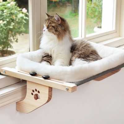 HAMAC CHAT FENÊTRE observatoir PACILACK