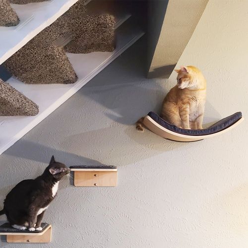 Hamac chat au mur Shandong couchage