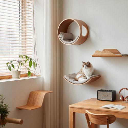 Hamac chat au mur déco Shandong