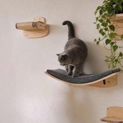 Hamac chat au mur gris Shandong