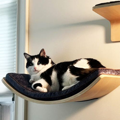 Hamac chat lit au mur Shandong