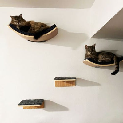 Hamac chat lit et escalade Shandong