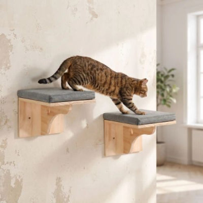 Hamac chat marches au mur escalade Shandong