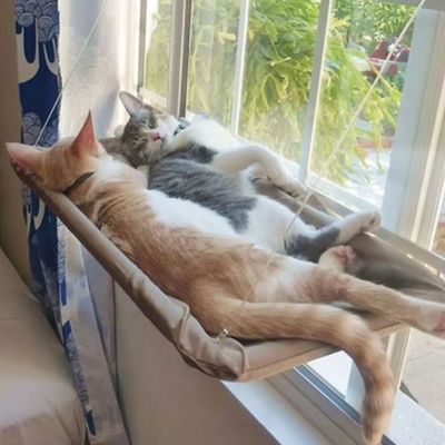 Hamac pour chat Spacieux PetFenêtreSolaire