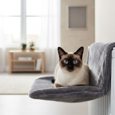 Hamac radiateur chat esthétique Hammock