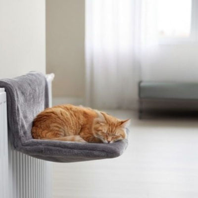 Hamac radiateur chat garde chaleur Hammock