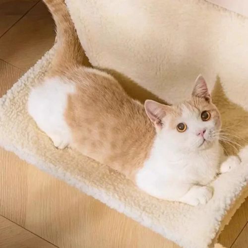 Hamac radiateur pour chat chaud PetSurélevé Plush
