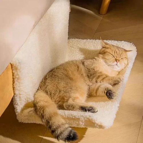 Hamac radiateur pour chat robuste PetSurélevé Plush