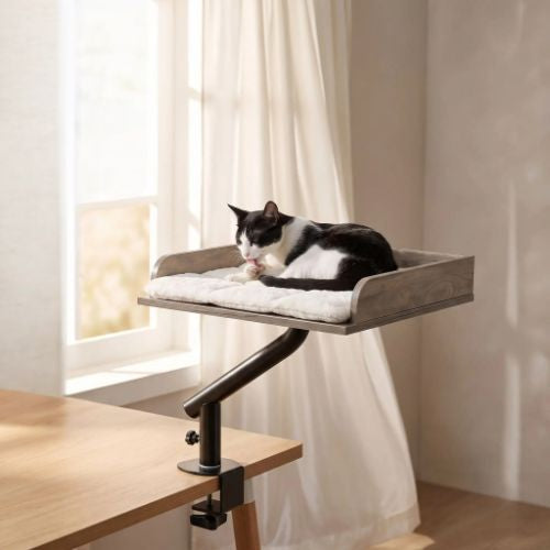 Lit chat en hauteur déco