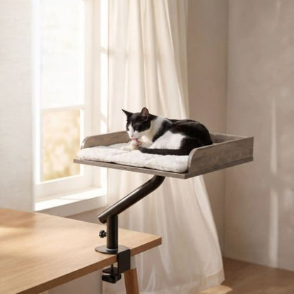Lit chat en hauteur déco