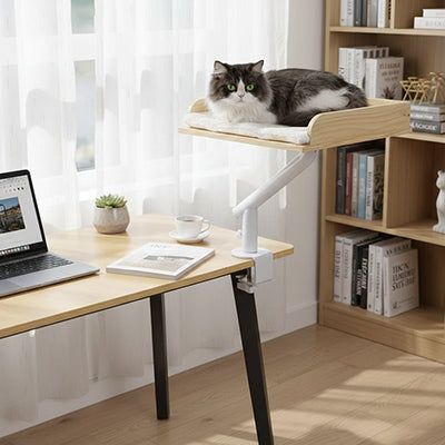Lit chat en hauteur espace bureau