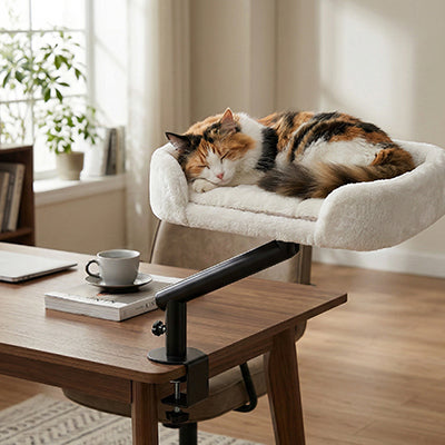 Lit pour chat ajustable amovide