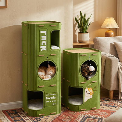 Maison à chat à étages dans salon Zhejiang