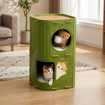 Maison à chat à etages et chatons Zhejiang