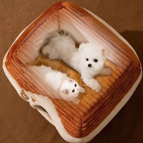 Maison à chat compacte PetBear