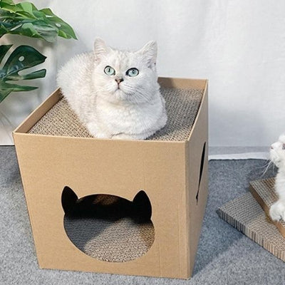 Maison en carton pour chat Lit PetModulableEcologique