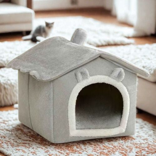 Maison pour chat et chaton Zhejiang