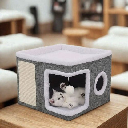 Maison pour chat et chaton qui joue