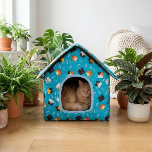 Maison pour les chats sur plancher bois Guangdong