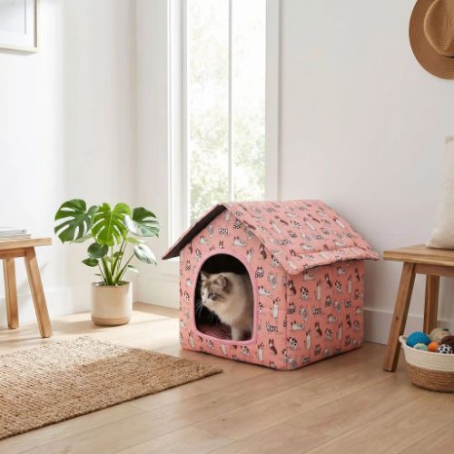 Maisonnette Chats rose déco Zhejiang